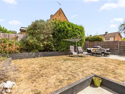 Picture 24
